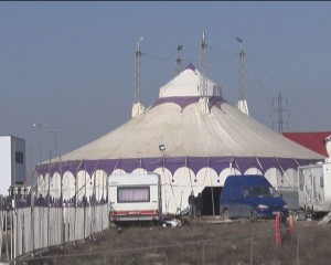 A VENIT CIRCUL! CIRCUL ALVES FACE POPAS LA BUZĂU