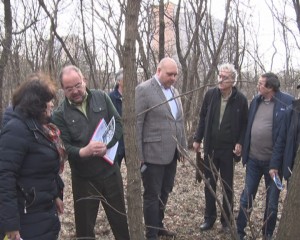 TĂIERILE DIN CRÂNG, LA CONTROL. COMISIA PREFECTURII A DESCINS, ASTĂZI, ÎN PĂDURE
