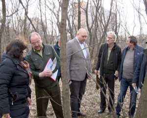 PREFECTURA: “TĂIERILE DIN CRÂNG SUNT LEGALE”. DIRECŢIEI SILVICE I S-A REPROŞAT LIPSA DE COMUNICARE