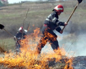INCENDIERI PENTRU BANI. APIA PENALIZEAZĂ AGRICULTORII