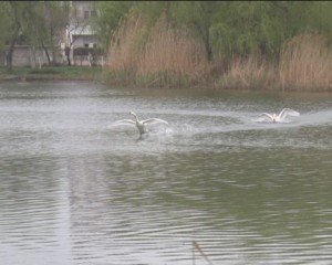 PREGĂTIRI DE SEZON. PARCUL TINERETULUI ÎŞI AŞTEAPTĂ VIZITATORII