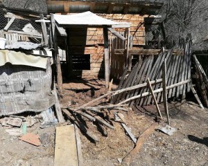 A FOST ÎMPUŞCAT URSUL CARE TREBUIA. DE O LUNĂ NU AU MAI FOST ATACURI
