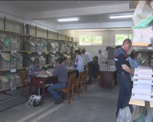 PESTE 1,3 MILIOANE DE BULETINE DE VOT. APROAPE 385.000 DE BUZOIENI PE LISTELE ELECTORALE
