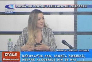 PREGĂTIRI PENTRU PARLAMENTUL EUROPEAN