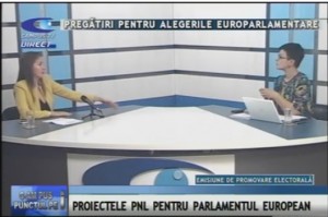 PREGĂTIRI PENTRU ALEGERILE EUROPARLAMENTARE