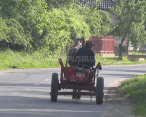 FĂRĂ CĂRUŢE ÎN STAŢIUNEA SĂRĂTA MONTEORU. INTERDICŢIA INTRĂ ÎN VIGOARE ÎNCEPÂND CU 1 IUNIE