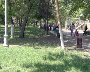 NICIO PRIMĂVARĂ FĂRĂ CĂPUŞE. APROAPE ZILNIC, 10 BUZOIENI SE PREZINTĂ LA UPU CU MUŞCĂTURI