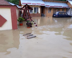 PLOAIA A FĂCUT PRĂPĂD ÎN JUDEŢ. MAI MULTE GOSPODĂRII AU FOST INUNDATE