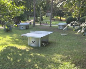 SPORT LA IARBĂ VERDE. AU FOST INSTALATE MESE DE TENIS ÎN CRÂNG
