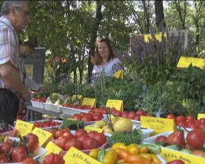 FESTIVALUL TOMATELOR, LA A DOUA EDIŢIE. MINISTRUL PETRE DAEA, OASPETE DE ONOARE AL EVENIMENTULUI