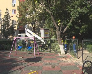 PERICOL LA LOCUL DE JOACĂ. UN COPAC S-A PRĂBUŞIT DIN SENIN