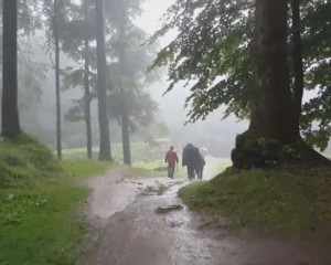 ŞEFUL POLIŢIEI LOCALE, LOVIT DE FULGER. ERA ÎN VIZITĂ LA SARMIZEGETUSA