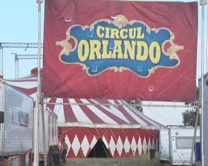 CIRCUL ORLANDO REVINE LA BUZĂU. NUMERE IMPRESIONANTE, PREGĂTITE PENTRU BUZOIENI