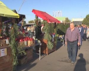 TOAMNA BUZOIANĂ 2019. A FOST DESCHISĂ CEA DE-A 14-A EDIŢIE A TÂRGULUI