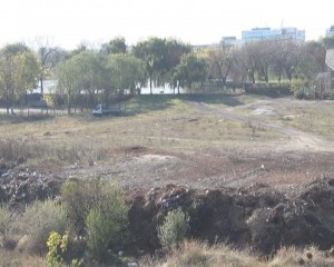 PARC NOU, BAZIN OLIMPIC SI SALA DE SPORT, ÎN PRELUNGIREA PARCULUI TINERETULUI
