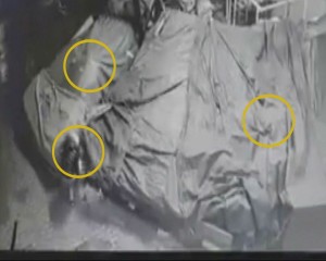 HOŢII ATACĂ PIAŢA CENTRALĂ. ESCAPADELE NOCTURNE ALE HOŢILOR ÎI RUINEAZĂ PE COMERCIANŢI