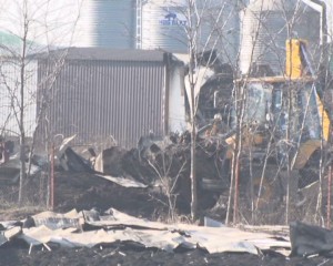 APROAPE 2.000 DE CADAVRE ÎNGROPATE. OPERAŢIUNILE DE ECARISARE A PORCILOR CONTINUĂ