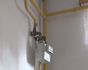 DOREL, MIROSUL DE GAZE ŞI PANICA. VA RĂSPUNDE CINEVA PENTRU INCIDENT?