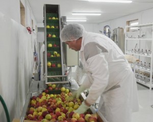 SUCURI 100% NATURALE PRODUSE ÎN JUDEȚUL BUZĂU. PRIMELE CUTII CU SUC NATURAL AU AJUNS DEJA LA CLIENȚI