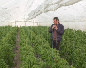 LEGUME ŞI FRUCTE FĂRĂ SUBSTANŢE CHIMICE. ÎNGRĂŞĂMÂNT ECOLOGIC PRODUS DE UN FERMIER BUZOIAN