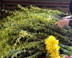 PROCESIUNEA DE FLORII, ANULATĂ. ANUNŢ OFICIAL AL CANCELARIEI SFÂNTULUI SINOD