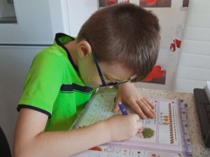 A REÎNCEPUT ŞCOALA DE ACASĂ. CE FAC ELEVII FĂRĂ SMARTPHONE SAU TABLETĂ?