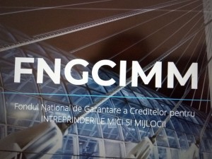 INCOMPATIBILITATE LA FONDUL NAŢIONAL DE GARANTARE A CREDITELOR PENTRU ÎNTREPRINDERI MICI ŞI MIJLOCII!