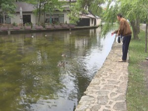 ÎNCEPE CURĂȚAREA HELEȘTEULUI. PÂNĂ ÎN IUNIE, BRĂDIȘUL VA DISPĂREA