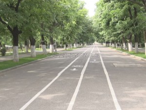 DISCUȚII APRINSE ÎN CLM. MOTIVUL: FÂNTÂNILE DIN PARCURILE BUZOIENE