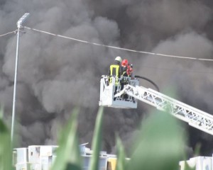 AMENDĂ PENTRU GREENWEEE. CE LE IMPUTĂ GARDA DE MEDIU
