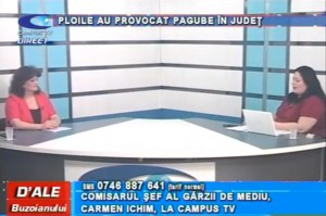 PLOILE AU PROVOCAT PAGUBE ÎN JUDEȚ