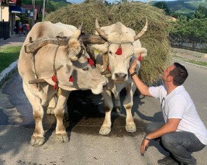 BUZDUGAN, IMPRESIONAT DE PEISAJELE BUZĂULUI. SELFIE CU UN CAR CU BOI