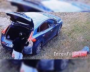 GUNOIUL, ARUNCAT LA MARGINEA DRUMULUI