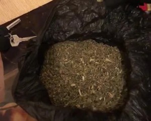 ȘASE TRAFICANȚI DE DROGURI, ÎN AREST. REȚEA CU ACTIVITATE ÎN MAI MULTE LOCALITĂȚI