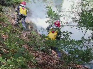 ARDE PĂDUREA LA MÂNZĂLEȘTI. POMPIERII LUPTĂ CU FLĂCĂRILE DE 24 DE ORE