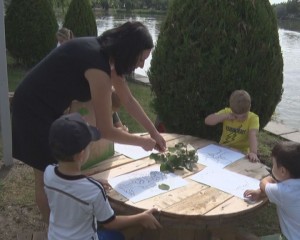DESPRE NATURĂ, ÎN NATURĂ. ACTIVITATE PREȘCOLARĂ ÎN AER LIBER