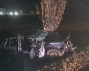 S-A ÎNFIPT CU MAȘINA ÎN POM. ACCIDENT GRAV, LA IEȘIREA DIN BUZĂU