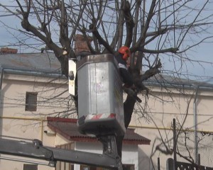 ACTIVITĂȚI DE PRIMĂVARĂ. ECHIPELE DE LA URBIS IES DIN HIBERNARE