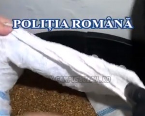 FABRICĂ ILEGALĂ DE TUTUN, ȘASE REȚINUȚI. PERCHEZIȚII DE AMPLOARE ÎN MAI MULTE JUDEȚE