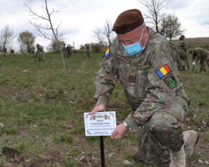 ÎN MEMORIA EROILOR CĂZUȚI ÎN RĂZBOI. APROAPE 200 DE COPACI, PLANTAȚI LA SIRIU ȘI BERCA