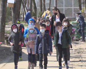 TESTELE DIN ȘCOLI, IRELEVANTE? D.S.P. PREFERĂ PROBELE SIGURE