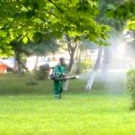 Dezinsecție în parcuri. Acțiunea se va face la sol