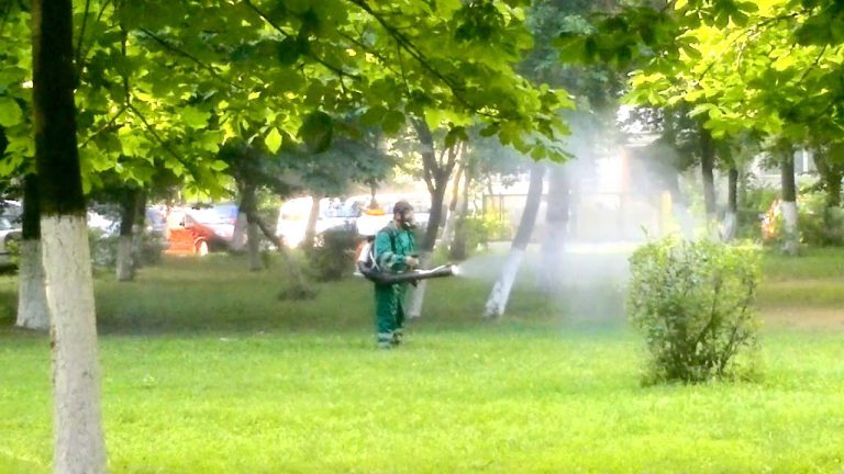 Dezinsecție în parcuri. Acțiunea se va face la sol