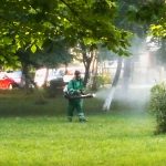 Etapa a doua de dezinsecţie - combatere ţânţari, 10-17 iulie. Programul complet în articolul de mai jos