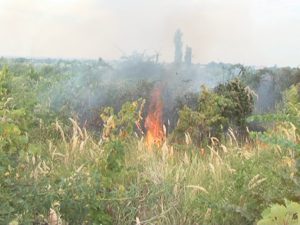 incendiu vie 1