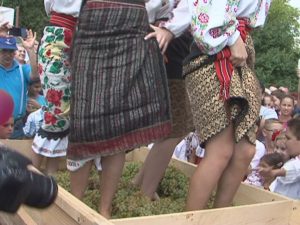 festival 3