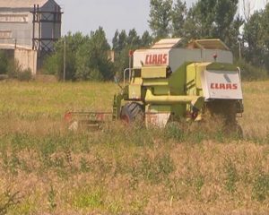 agricultura 1