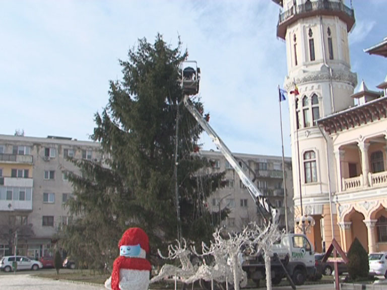 Doi brazi frumoși. Primăria caută pomi de Crăciun
