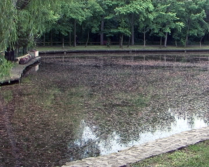 LACURI MURDARE ŞI URÂT MIROSITOARE. IGIENIZAREA HELEŞTEIELOR, ÎNTÂRZIATĂ DE VREME