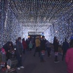 “Nu vom sta în beznă! Vom sărbători normal” Președintele Neagu, despre evenimentele festive din iarnă